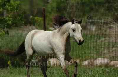 elegancer924_01 5_1075