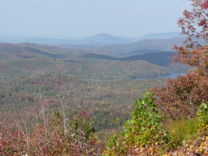 buck bald, tn - 5560ft elev