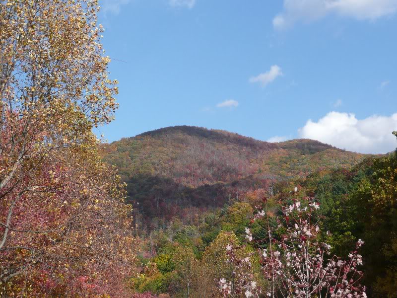 buck bald - looking toward nc