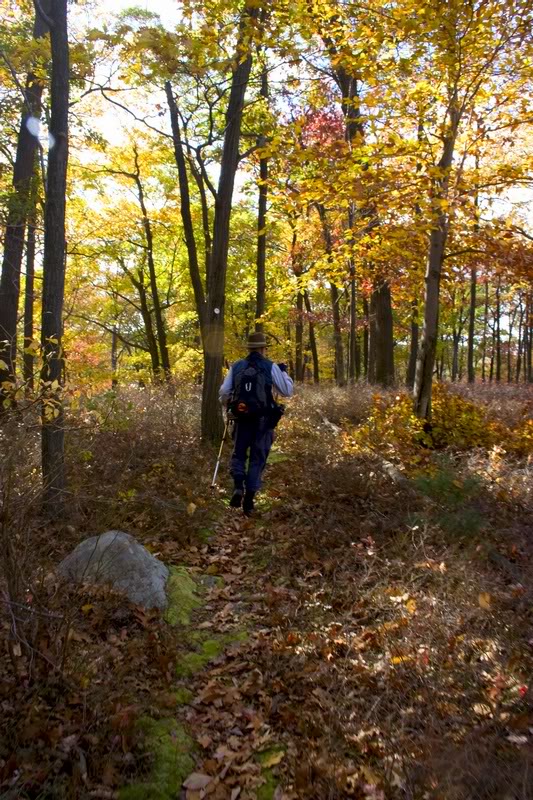 Anthony Wayne Loop 11-7-07