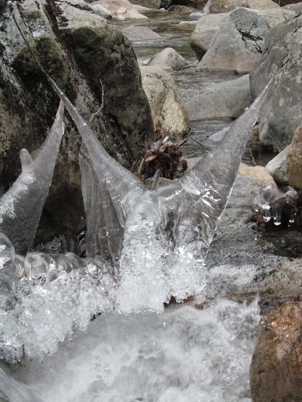 A two-horned Gale River ice monster