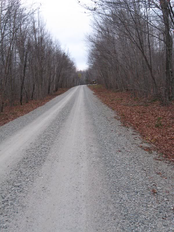 Approaching the Gale River Trail