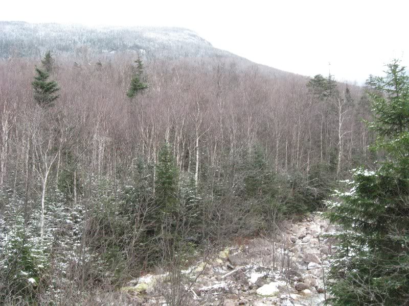 First glimpse of Galehead