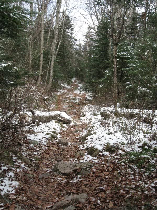 Gale River Trail--Snow beginning to stick