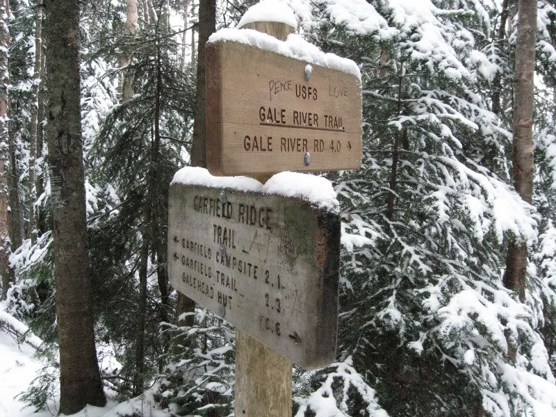 Junction of Gale River and Garfield Ridge Trails