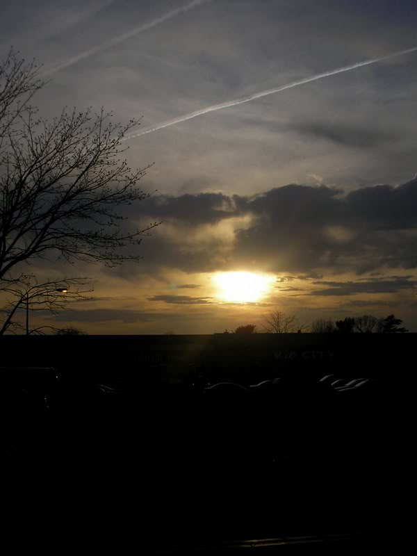 42307SkyInsanit y (3)