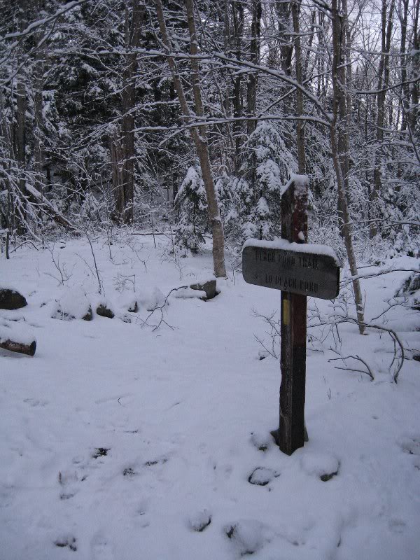 Black Pond Trail, 6:44am