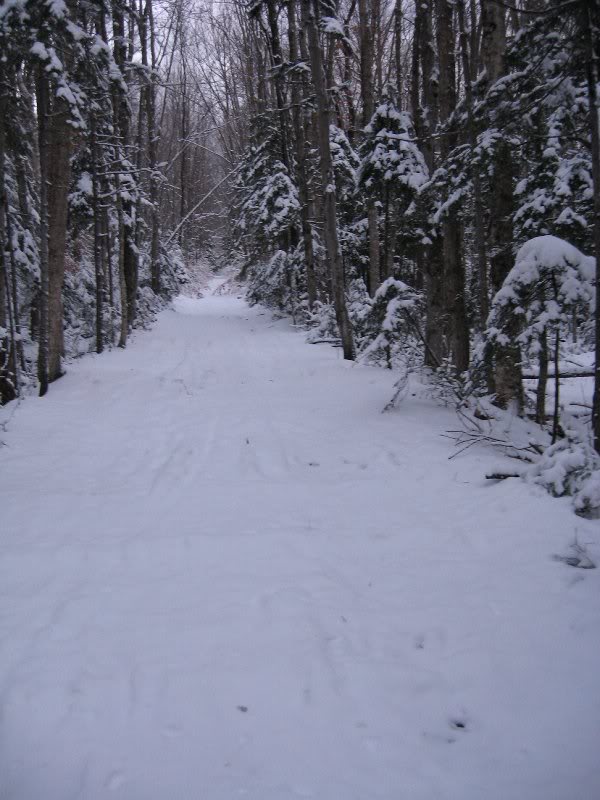 Wilderness Trail, 6:38am