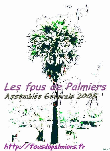 palmier inde eff8 (ag2008)