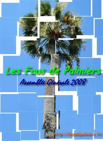 palmier menton eff6 (ag2008-2)