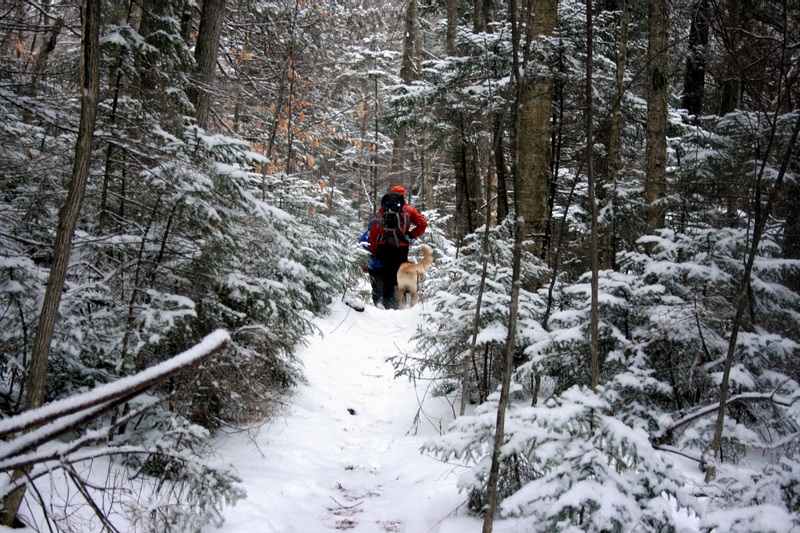 D-UPTHE CALKINS BROOK PATH