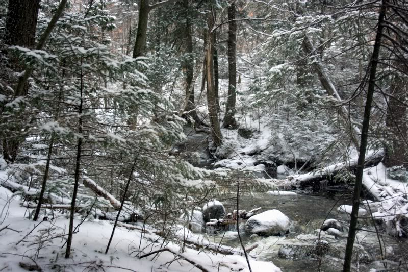 E-THE BROOK IS A BIT HIGH