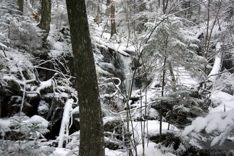 G-WE SAW LOTS OF THIS AND TURNED BACK AFTER 6.5 HOURS