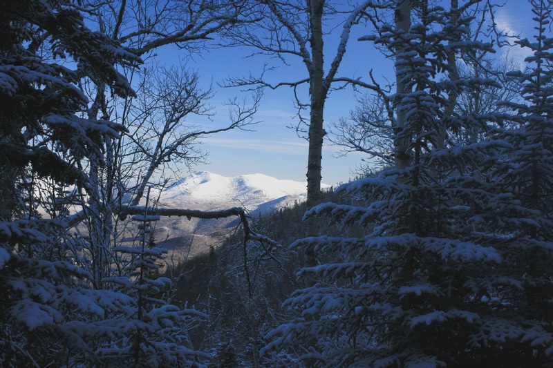 J-CASCADE AND PORTER FRAMED