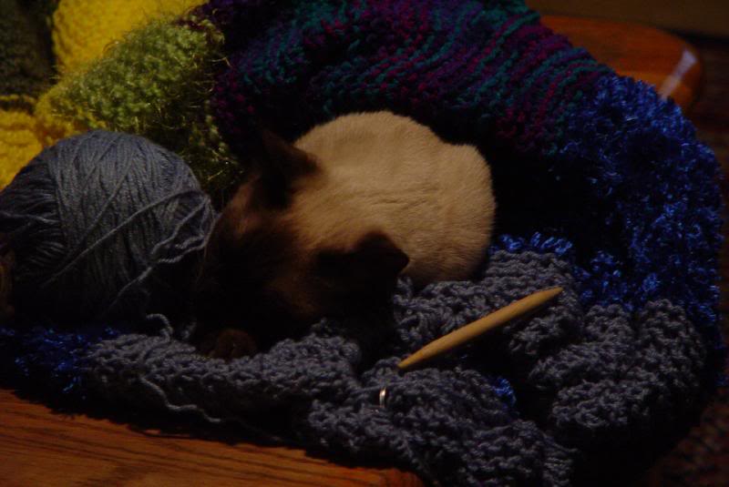 Thanksgiving - Jacksboro - 2007 001