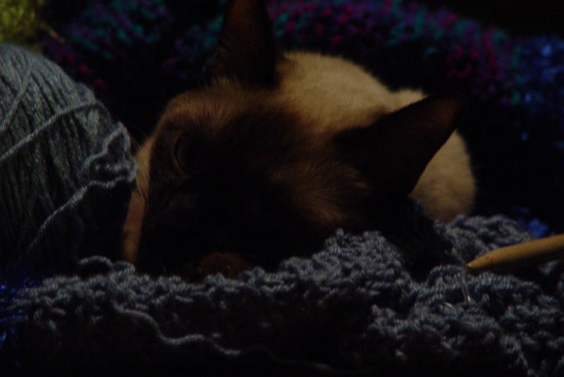 Thanksgiving - Jacksboro - 2007 002