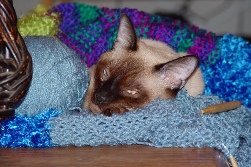 Thanksgiving - Jacksboro - 2007 003