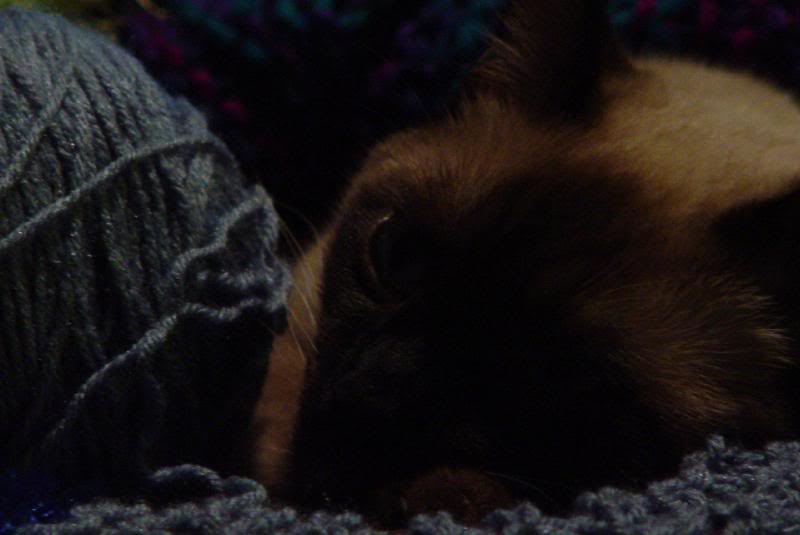 Thanksgiving - Jacksboro - 2007 004