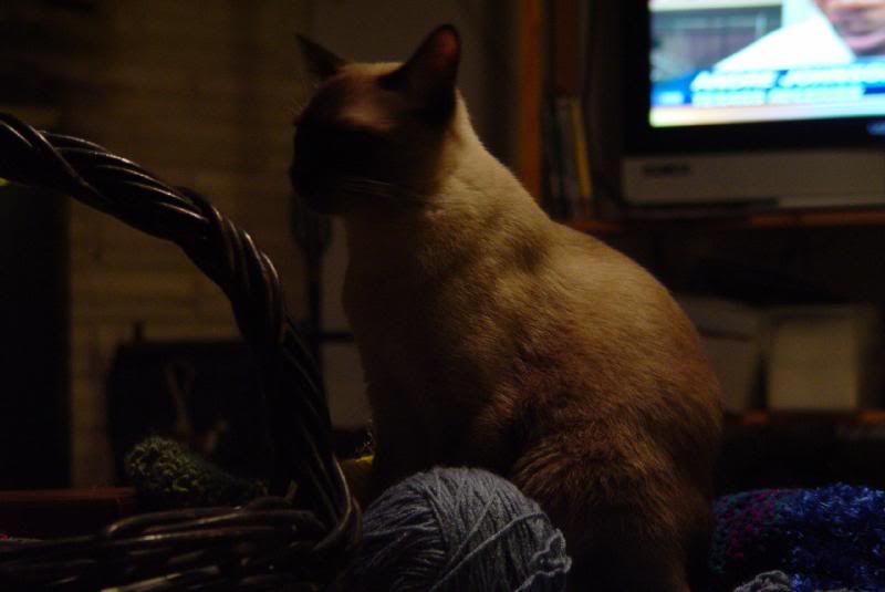 Thanksgiving - Jacksboro - 2007 009