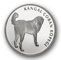 kangal_1_