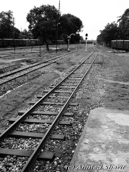 Dawn at Kulaura Junction....... .......08