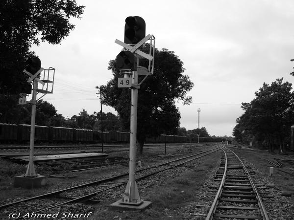 Dawn at Kulaura Junction....... .......09