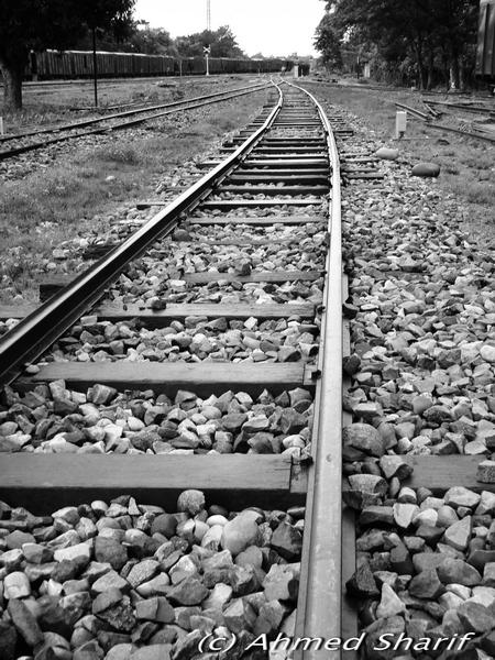 Dawn at Kulaura Junction....... .......10