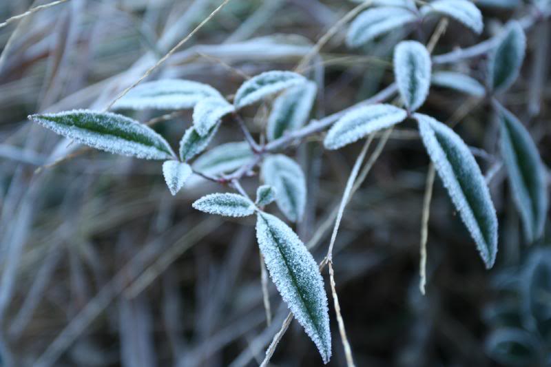 �i�Q�����S�r��� s��