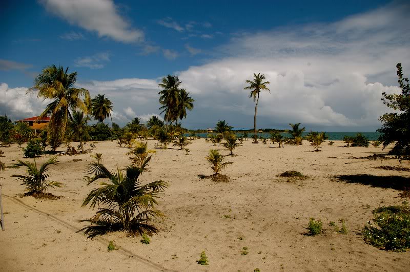 Placencia Beaches.