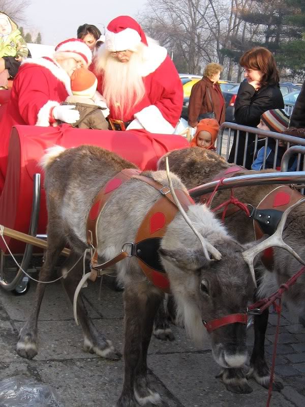 Renii si Mos Craciun