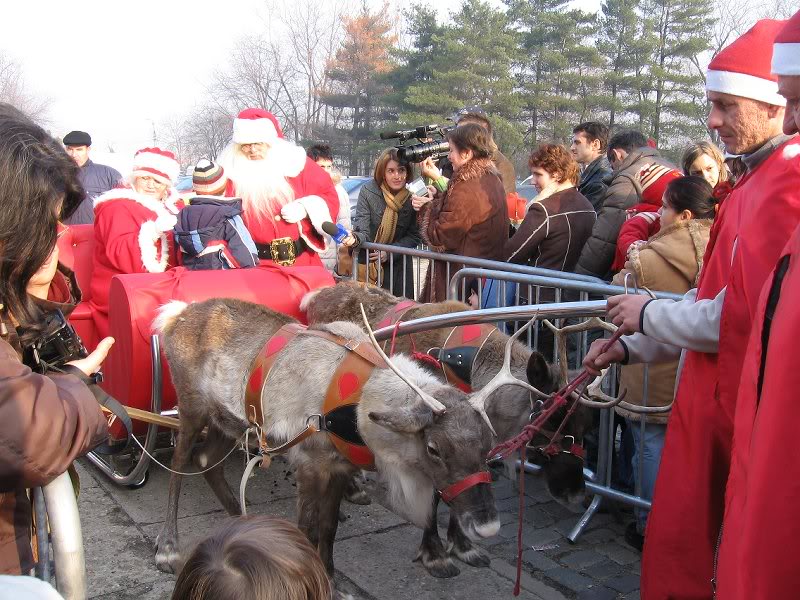 Tablou complet...de Craciun