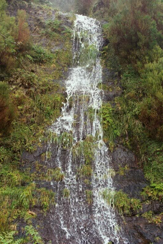 Madeira - Cani�o