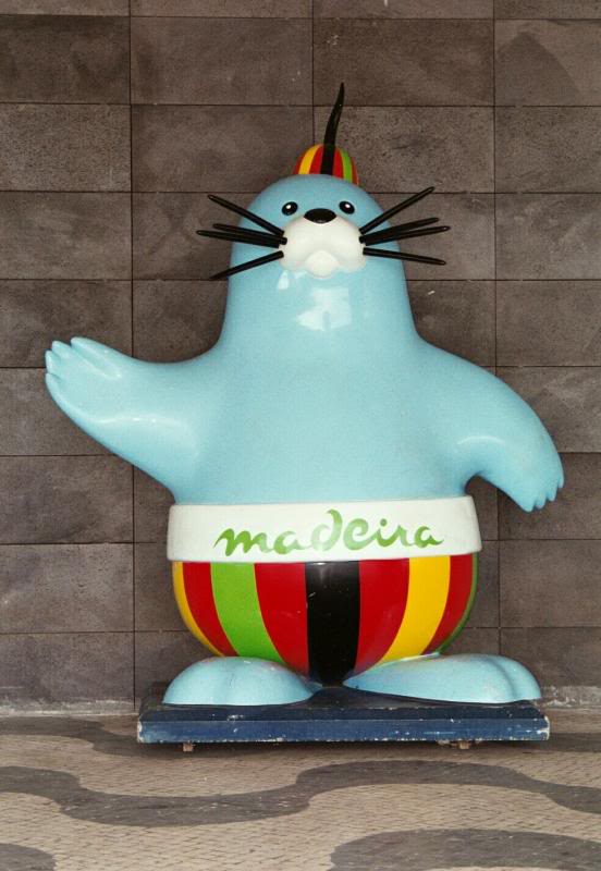 Madeira Island Airport