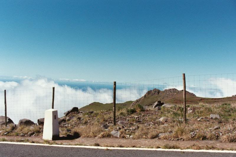 Madeira - Pau da Serra