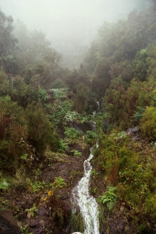 Madeira - Ribeira Brava