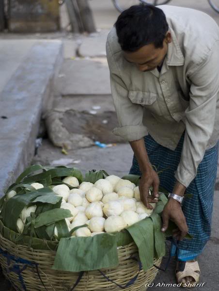 coconut kernel seller