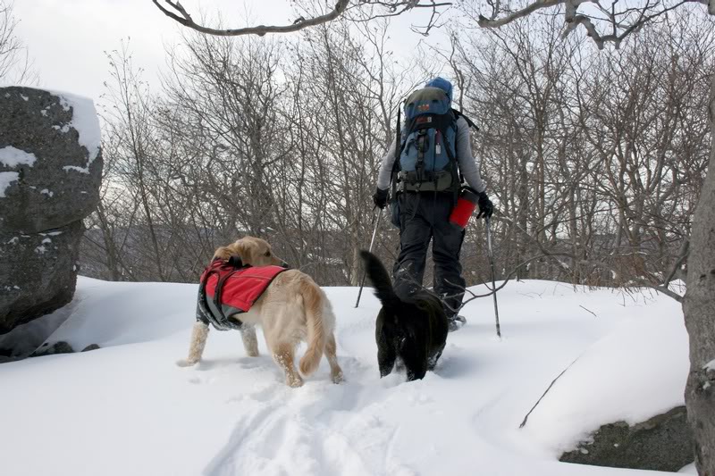 G-JIM WITH TAGALONGS