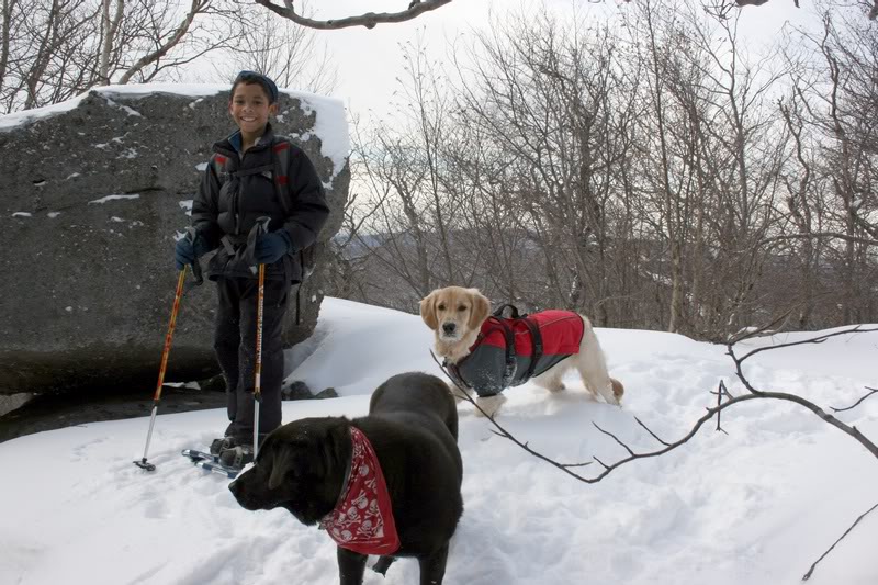 H-DAVID LEAH AND SHILOH