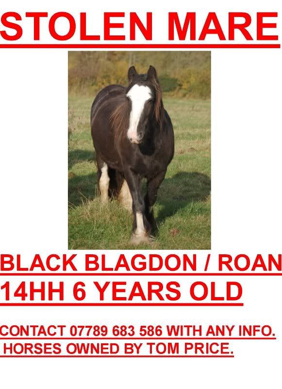 stolen.mare2