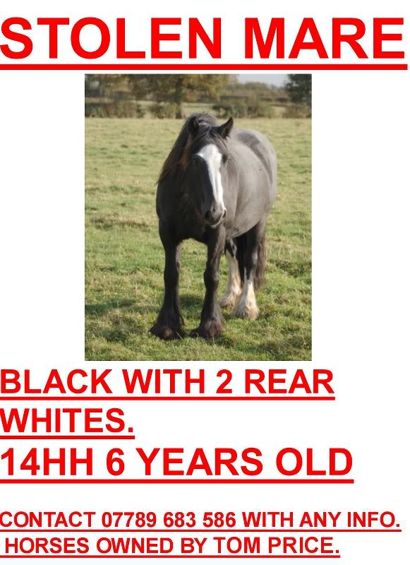 stolen.mare3