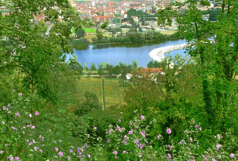 P1050258 Veduta sulla campagna, il Po e Chivasso