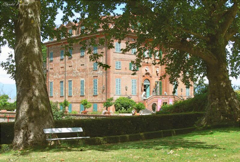 P1050302 Il Castello visto dal parco