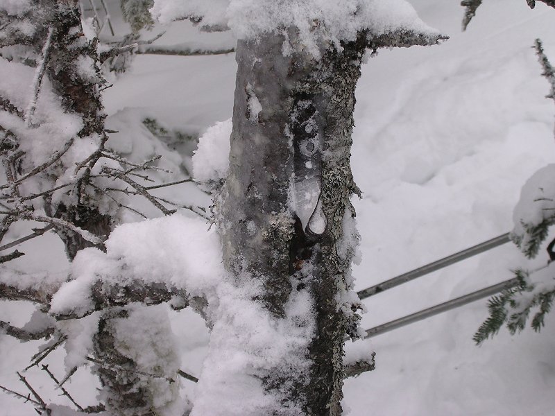 Where the canister should be.