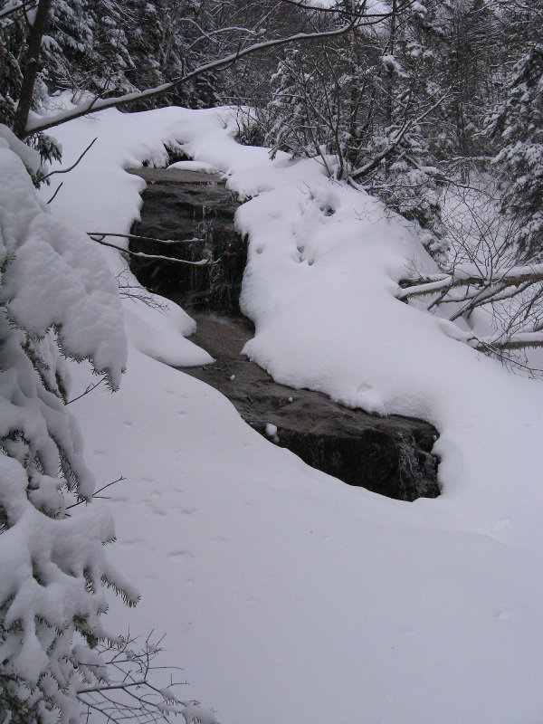 Lincoln Branch Dry Brook