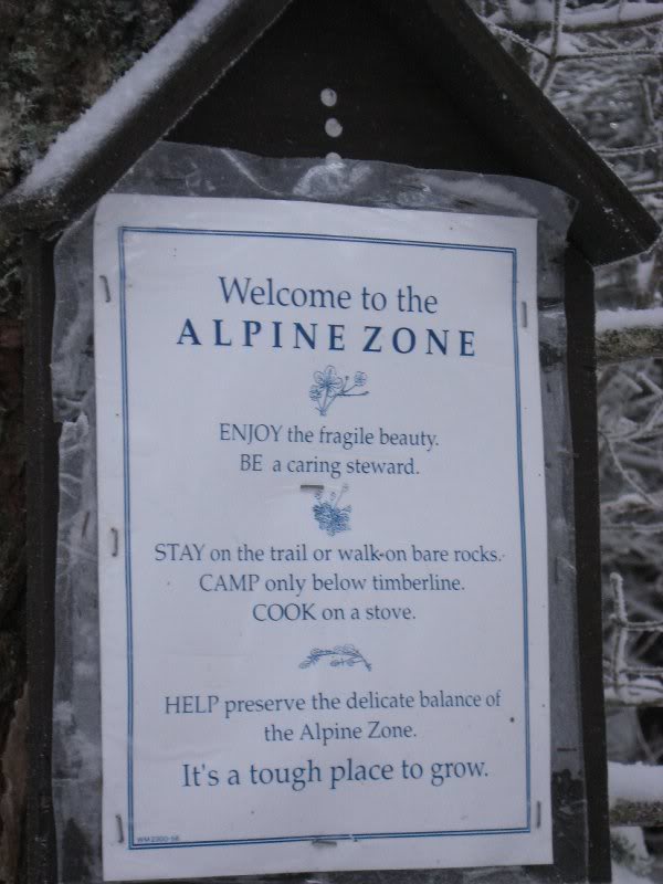 Welcome to the Alpine Zone