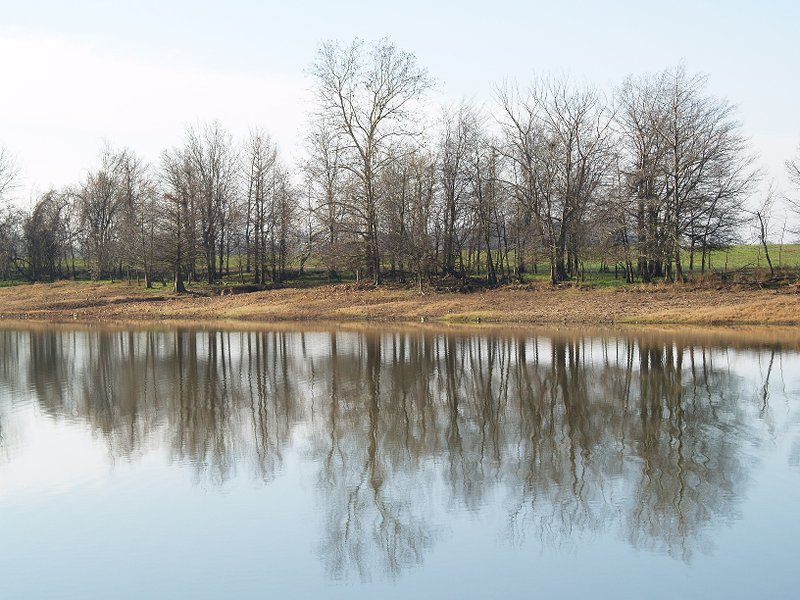 27 Cut-off - reflections