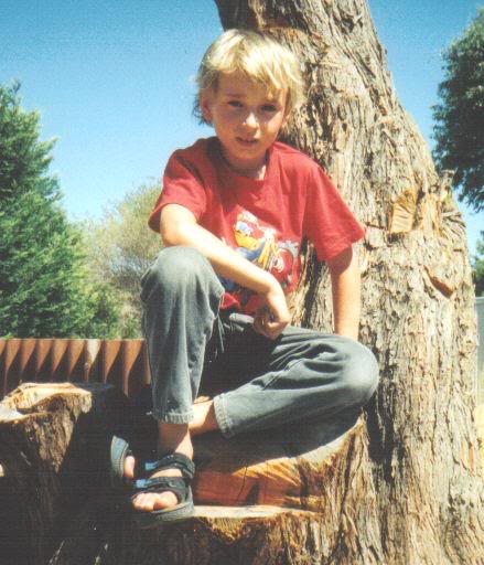 Daniel on Rod's Tree