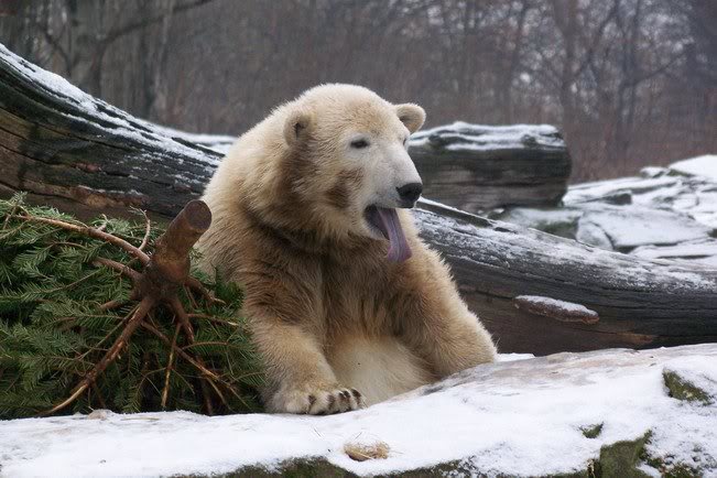 OK. vielleicht koennt ihr ja nichts dafuer