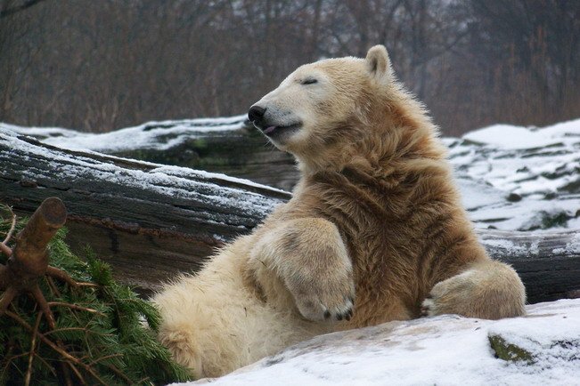 bloeder Sonntagmorgen