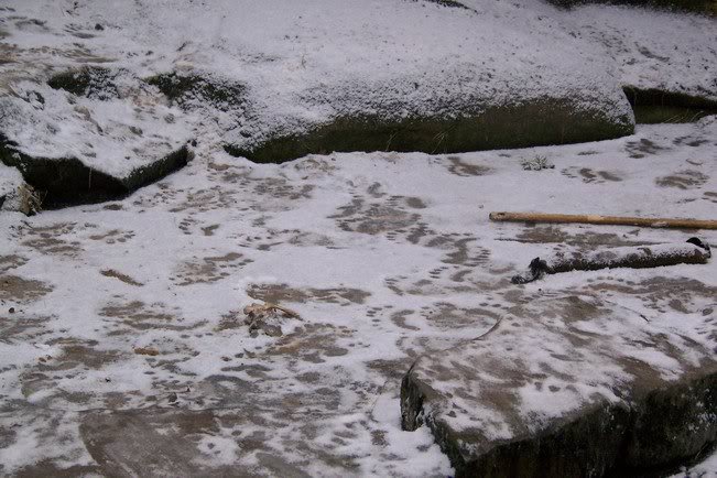 guckt mal hier, immer im Kreis bin ich gelaufen und hab...